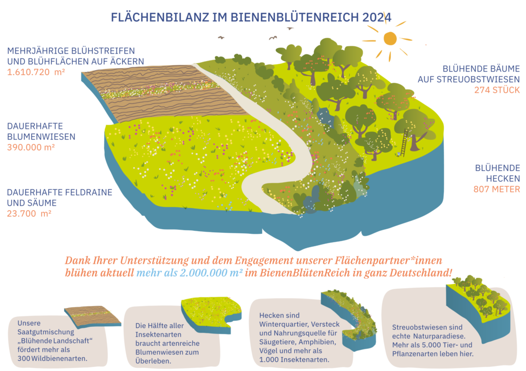 Blühpatenschaften mit echter Wirkung