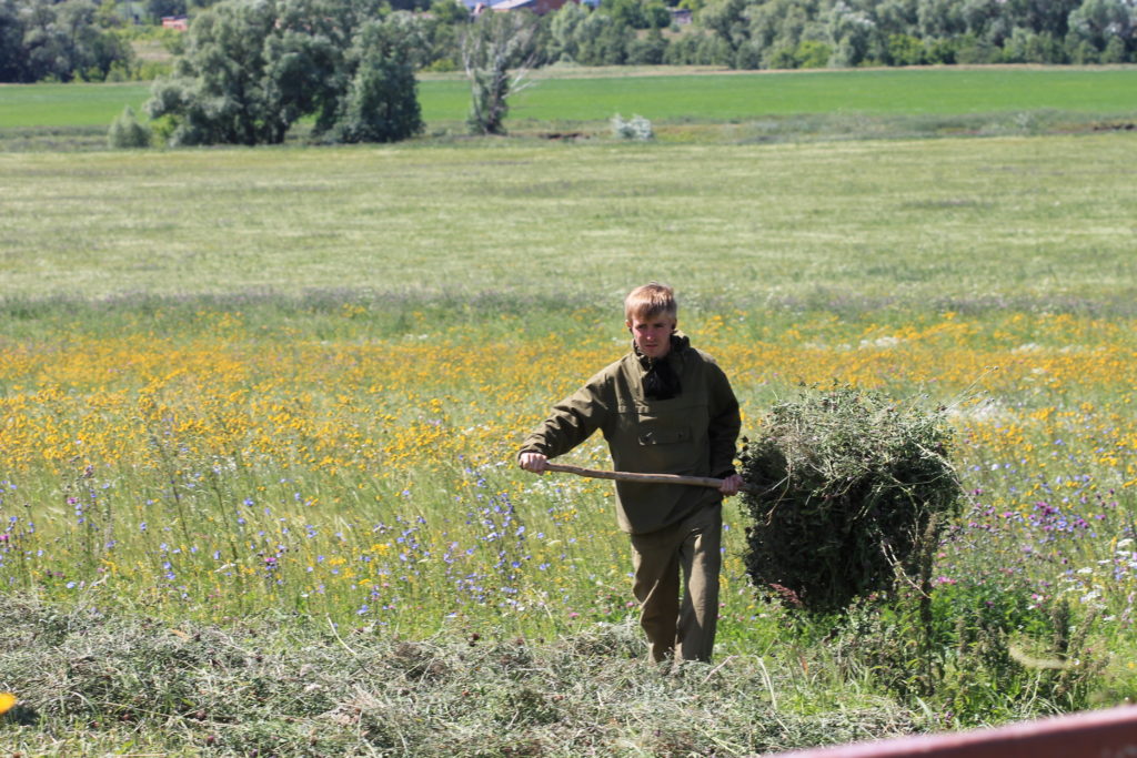 shutterstock_748962433