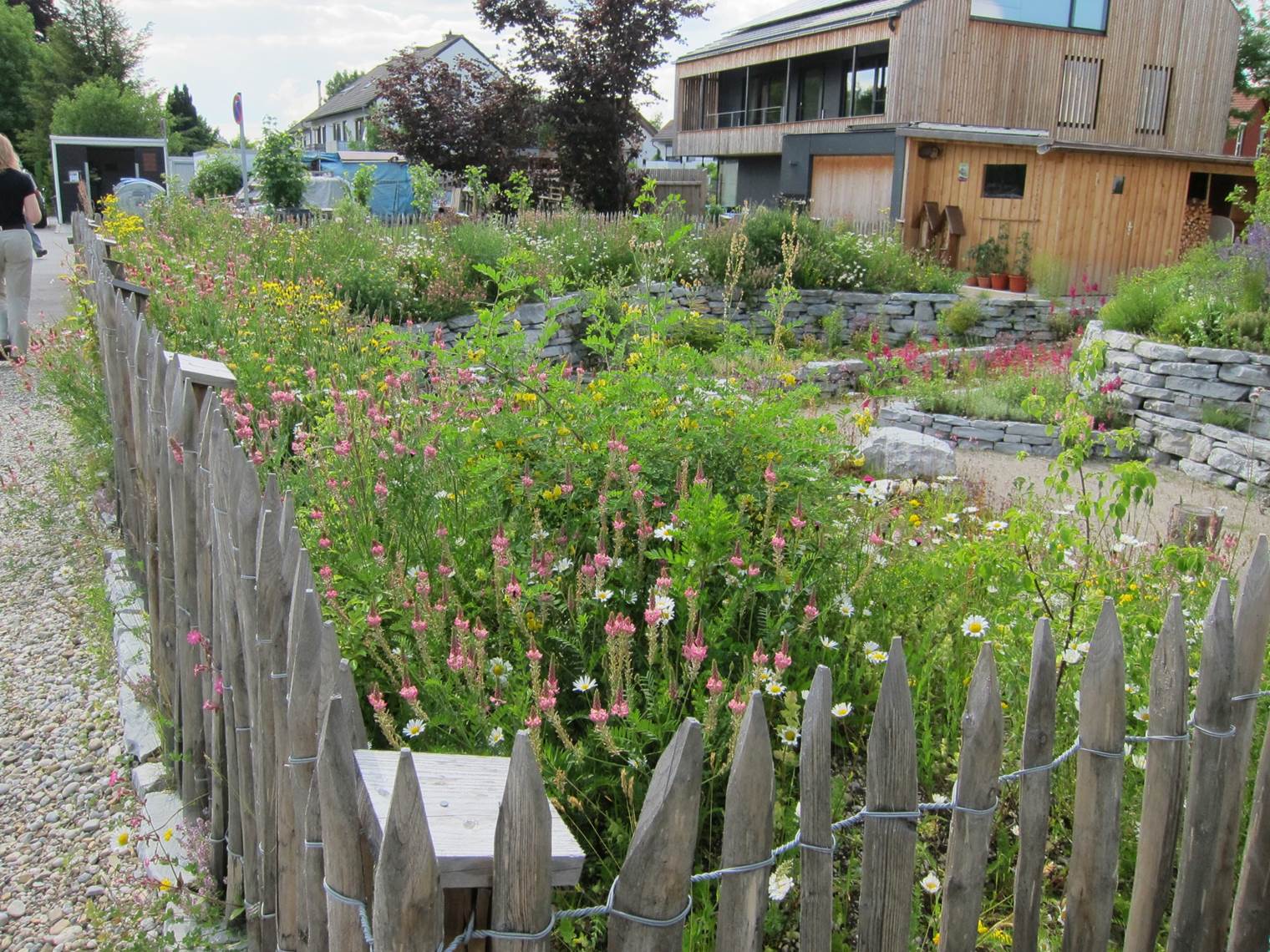 Naturgarten_Steingarten-heimischeKräuter_bunt_BStark