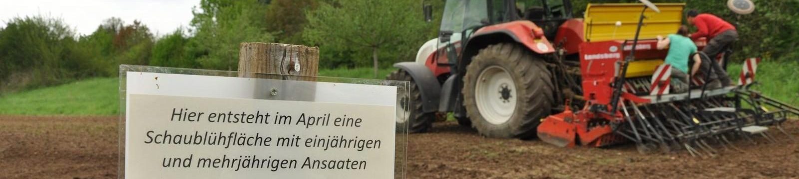 Aussaat der Blühflächen an der Fischermühle, Rosenfeld_S.Bude.eacf9a9e74881f8a5e090ce95b3f0bb9