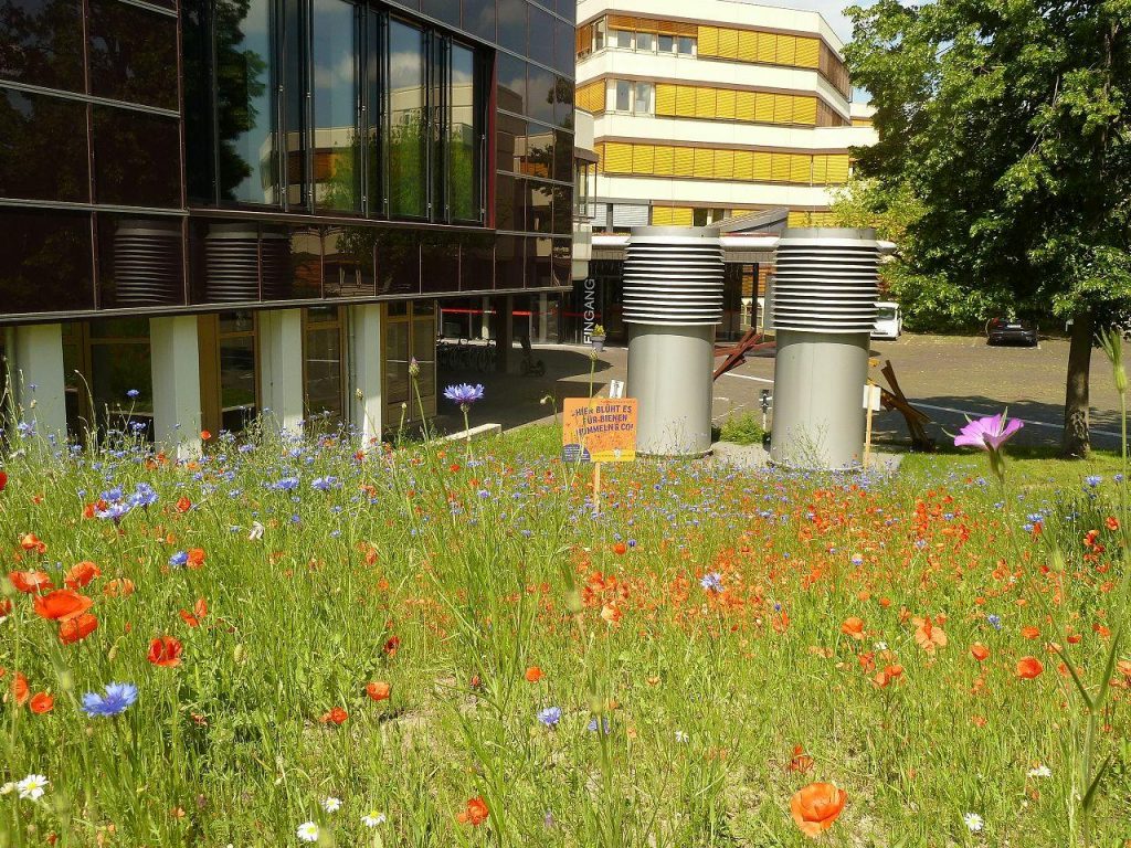 k-17-021_Kreis Lippe_2019_Braunsdorf.73bdf8abb8ce59608550e48aede4517d