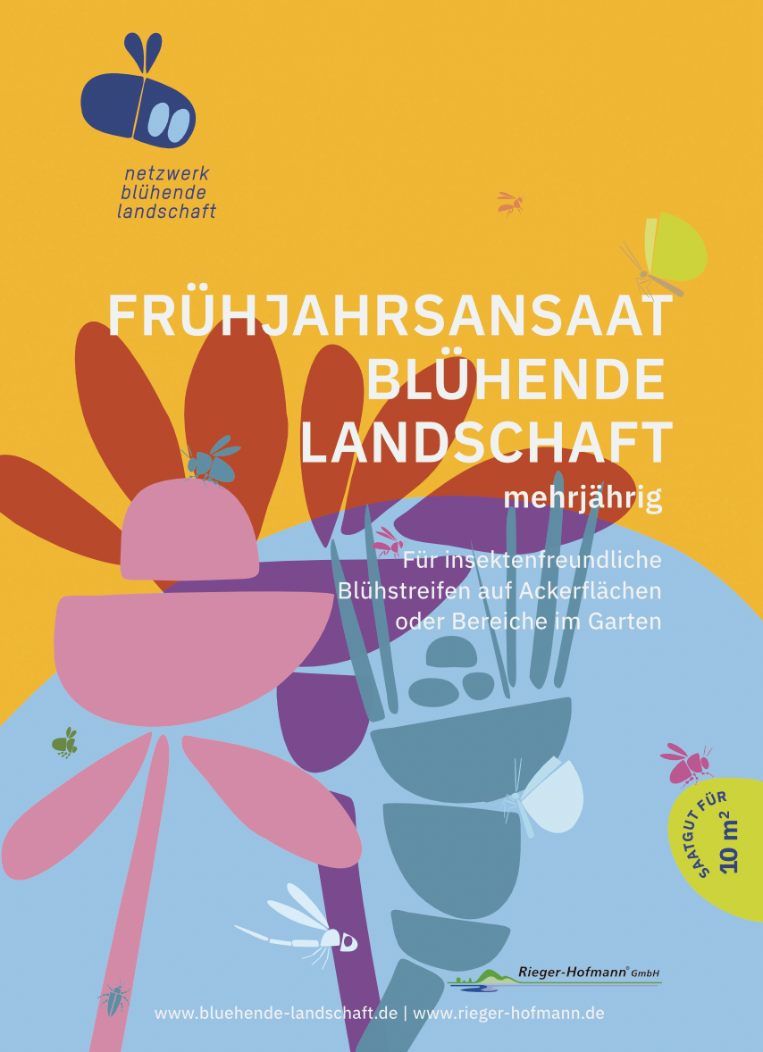 Blühende Landschaft Frühjahr 10qm