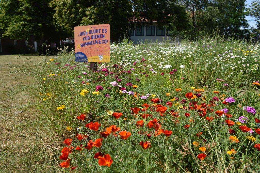 18-092 Wild-, Kulturpflanzen_mit F. Langfeld