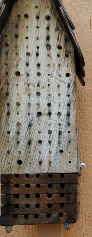 Nisthilfe Hartholzblock