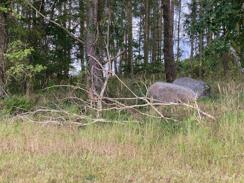 Totholz und Steinhaufen dienen auch Reptilien und Amphibien als Rückzugsraum. Sie bilden in Konzepten zur Lebensraumvernetzung wertvolle Trittsteine.