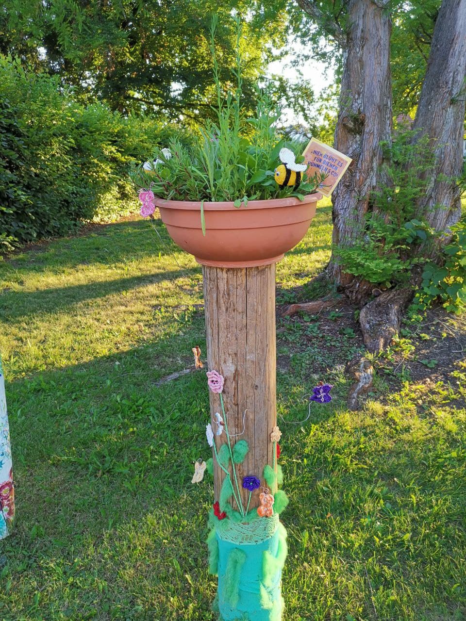 photo_2021-06-07_20-42-24