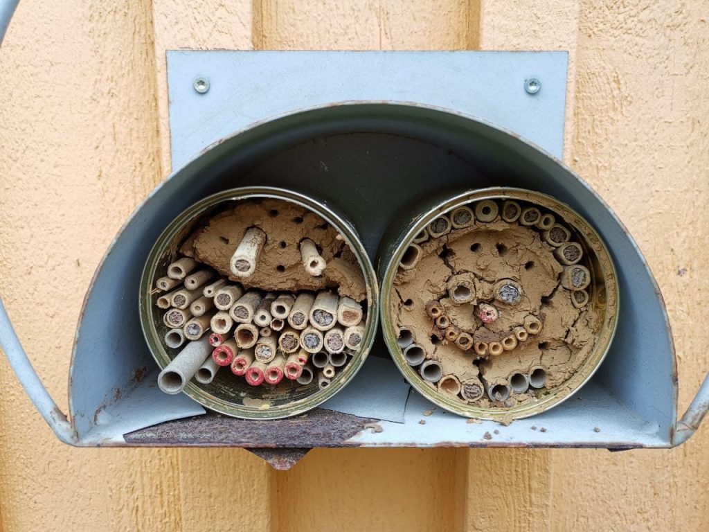 photo_2021-06-07_20-42-30