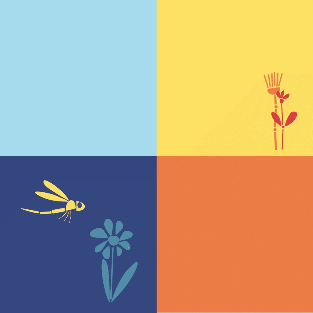 Wilde-Balkonblueten_Gemeiner-Wirbeldost_Janina-DAlvise