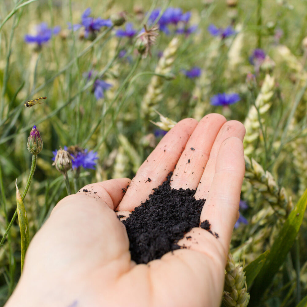 Pflanzenkohle schenkt Klimaschutz und Artenvielfalt. Foto: R. Holler