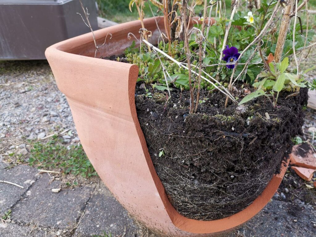 Blütenvielfalt dank Pflanzenkohle