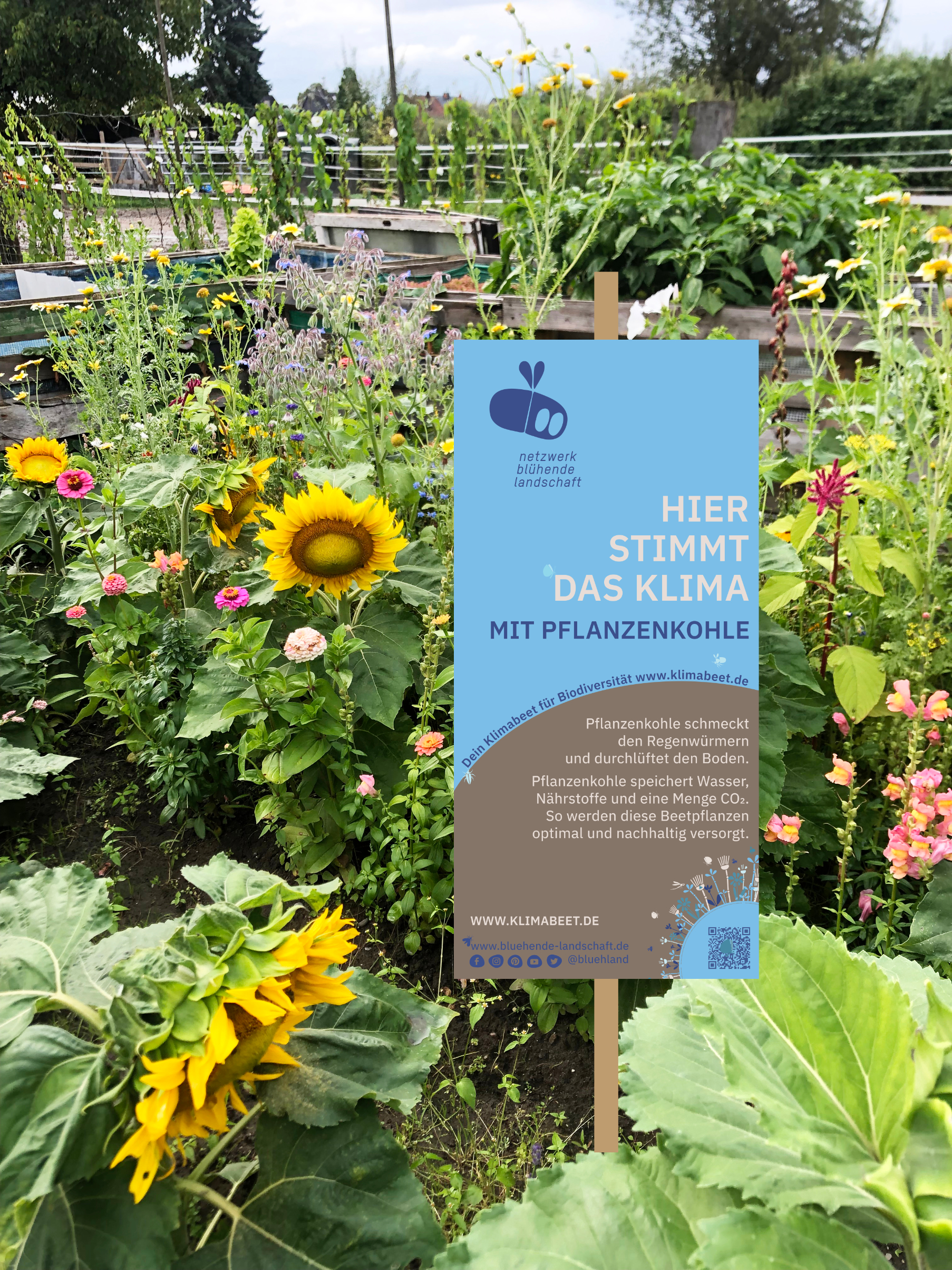 Klimabeet-mit-Schild-1
