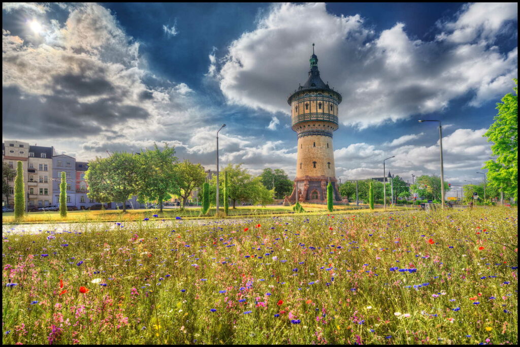 Blühfläche Wasserturm Halle