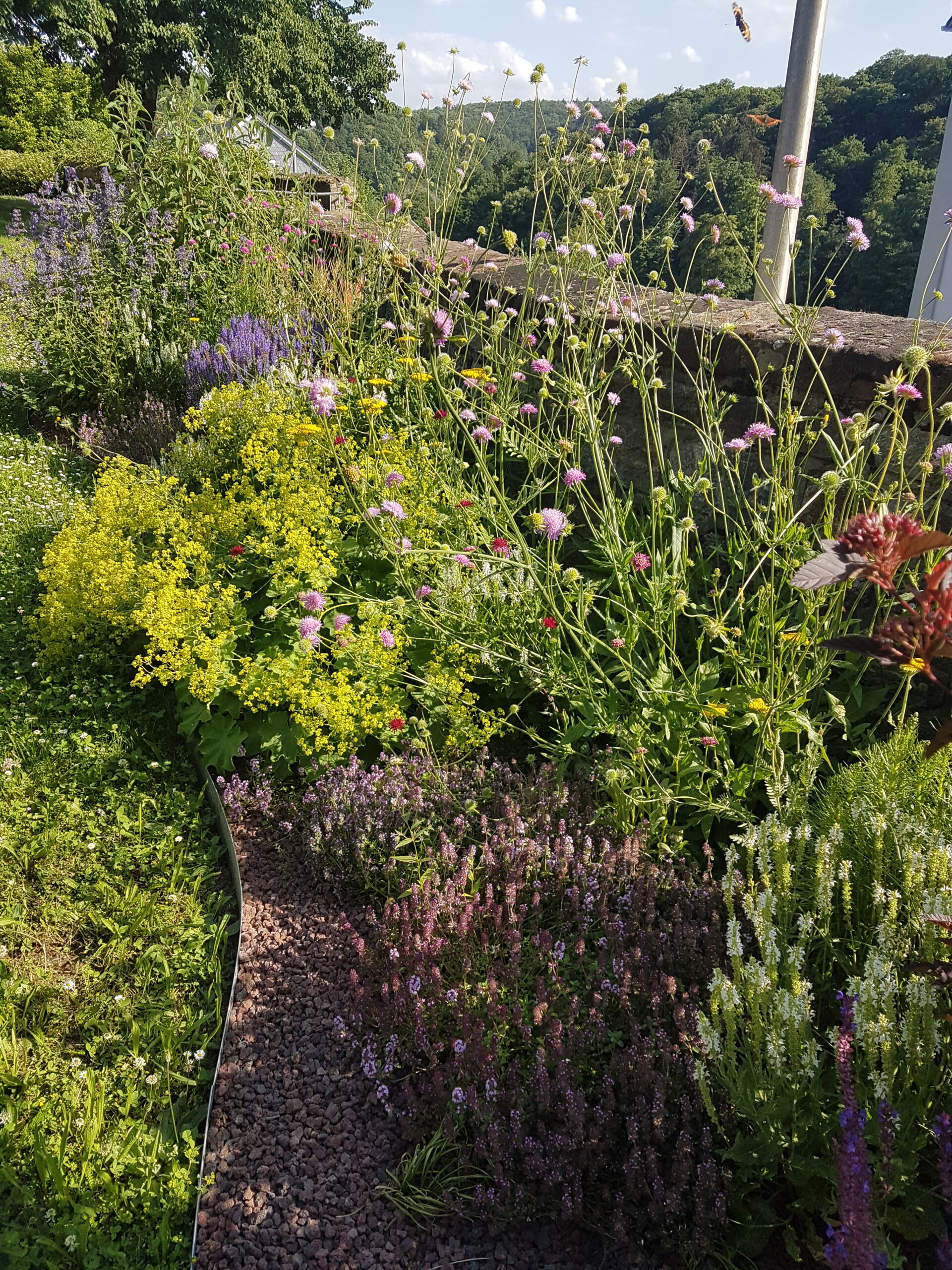 Staudenbeet mit insektenfreundlichen Zierpflanzen, Foto: Hanna Konrad