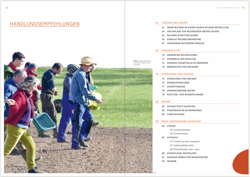 Handlungsempfehlungen