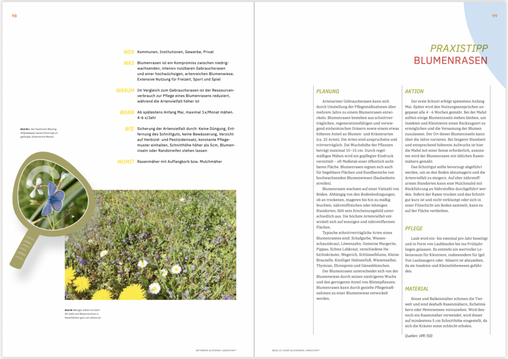 Praxistipp-Blumenrasen