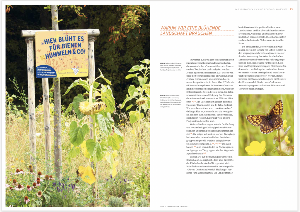 Warum-wir-eine-bluehende-Landschaft-brauchen