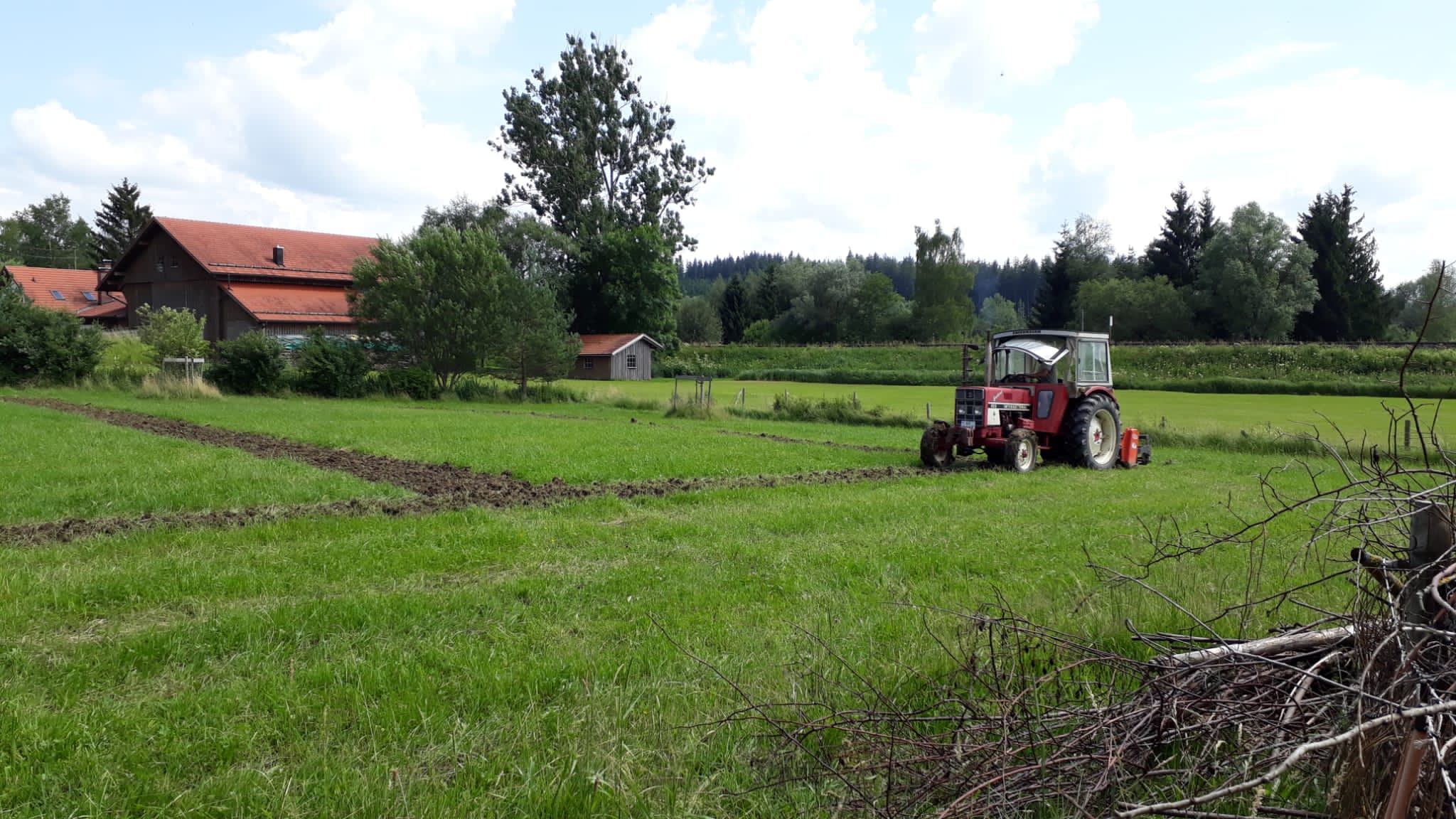 Flächenvorbereitung für die Mahdgutübertragung. Foto: H. Boljahn