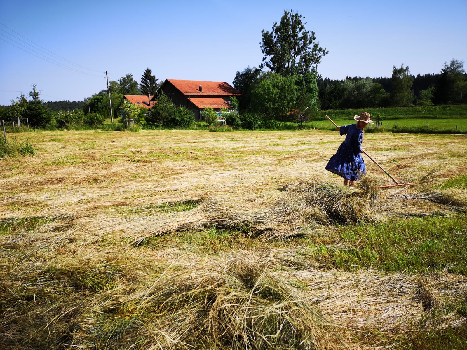 Mahdgutübertragung. Foto: H. Boljahn
