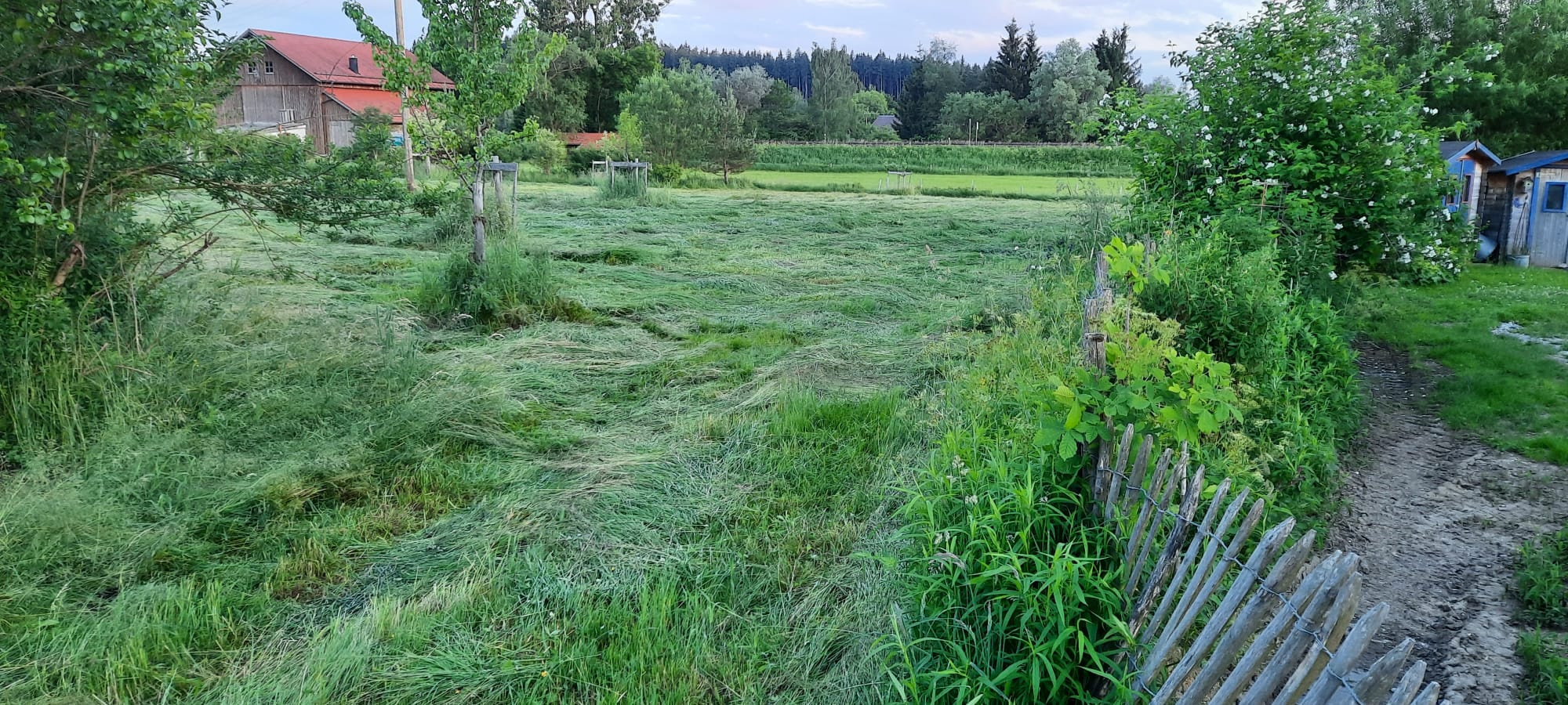Vorbereitung für die Mahdgutübertragung. Foto: H. Boljahn