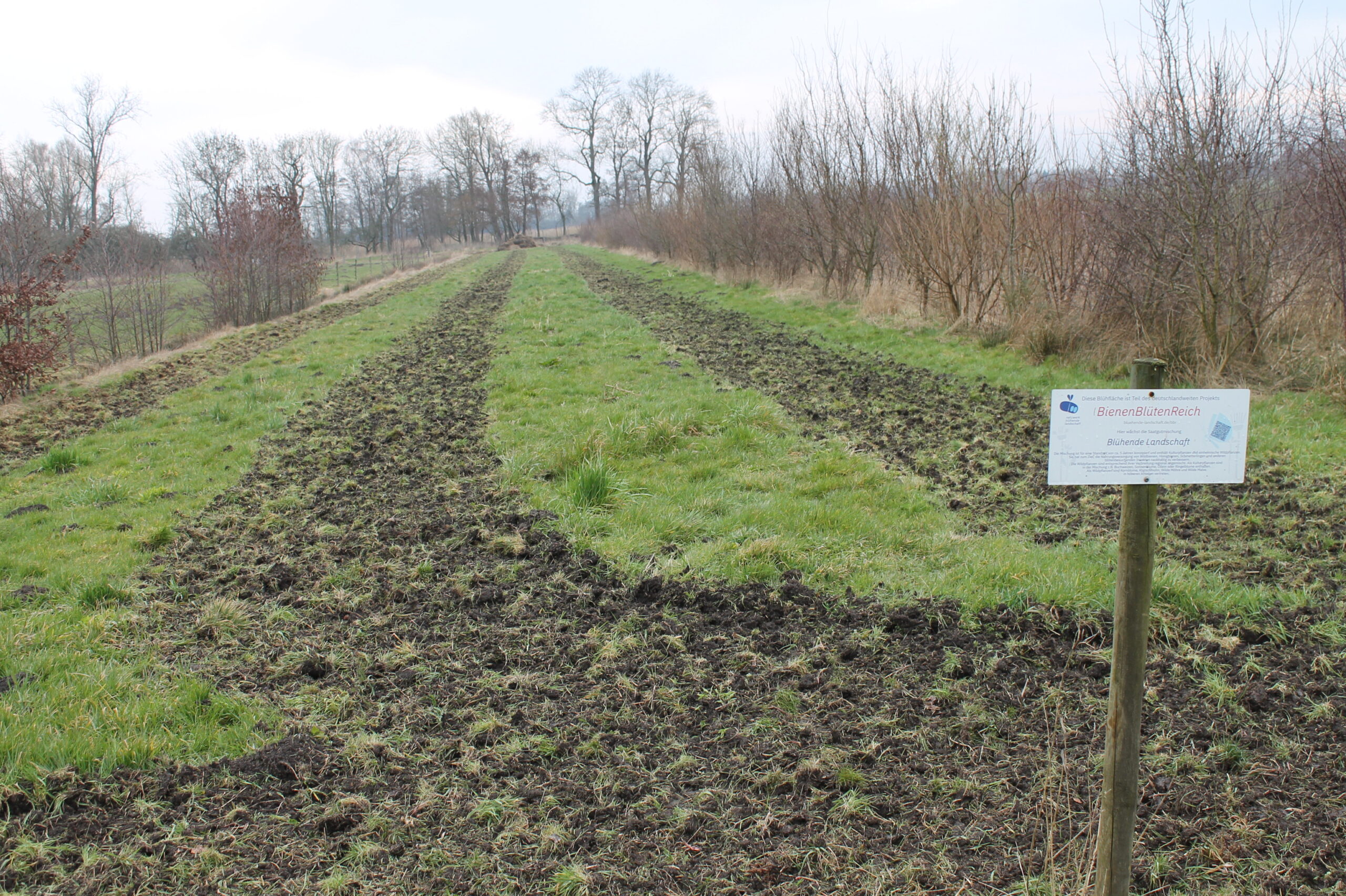 Gotthard-Geisler_Flächenvorbereitung