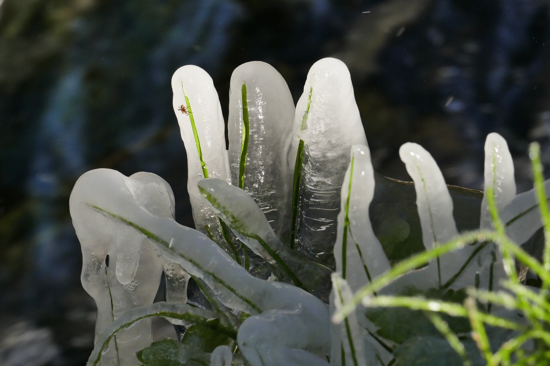 Wasser in all seinen Formen, Foto: Christiane Braunwarth