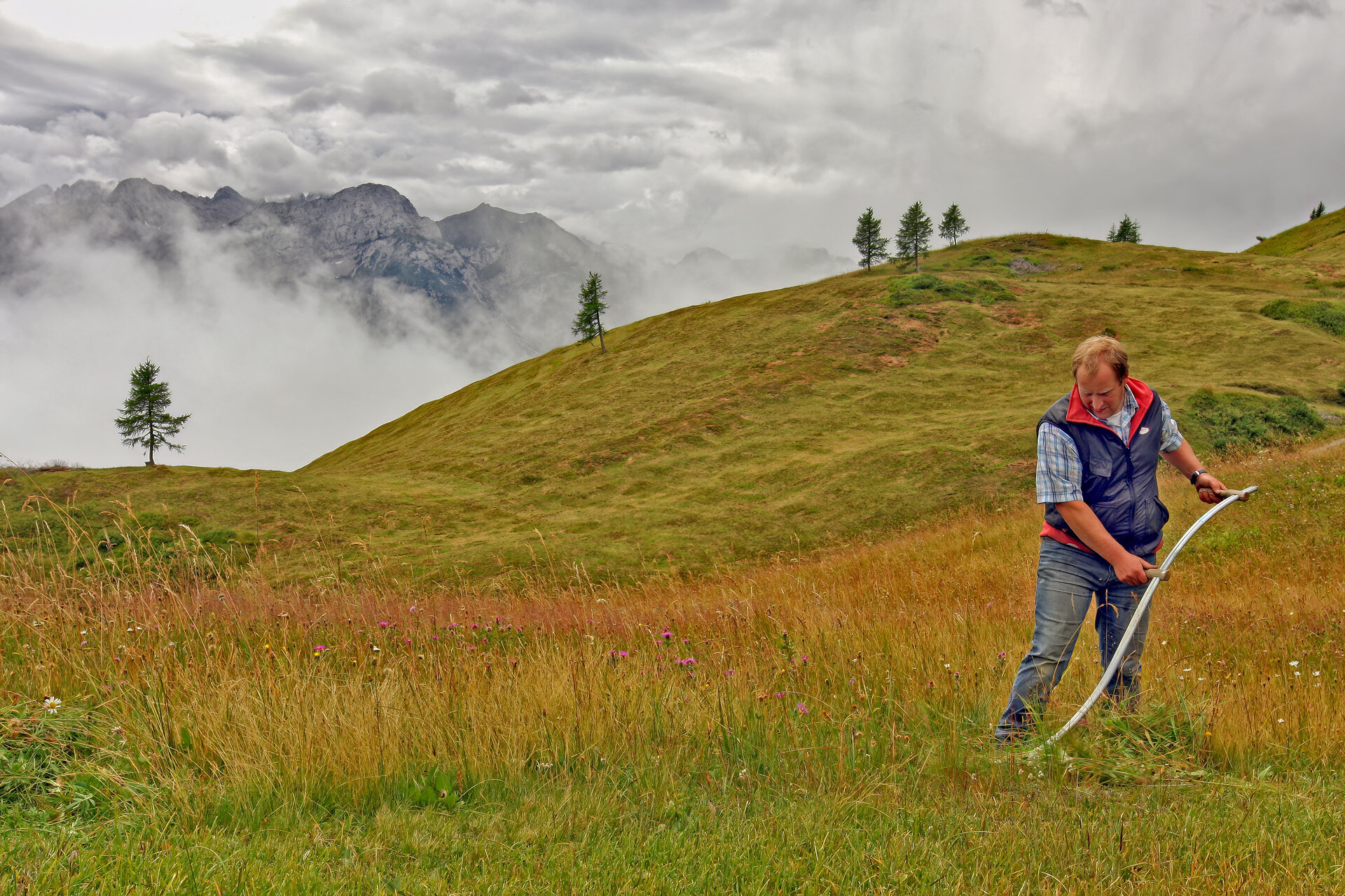 Aktiv für Insekten, Foto: Josef Hinterleitner