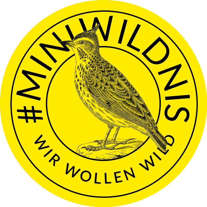 MicrosoftTeams-image-8