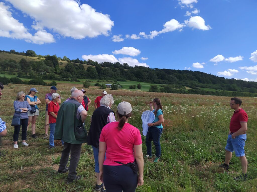 33b17d48-017f-403f-a6f1-db7eff53d3bd