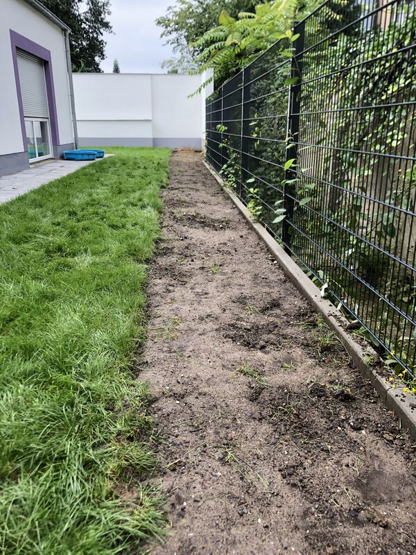 Linda Trein_Schattsaum_Ansaat