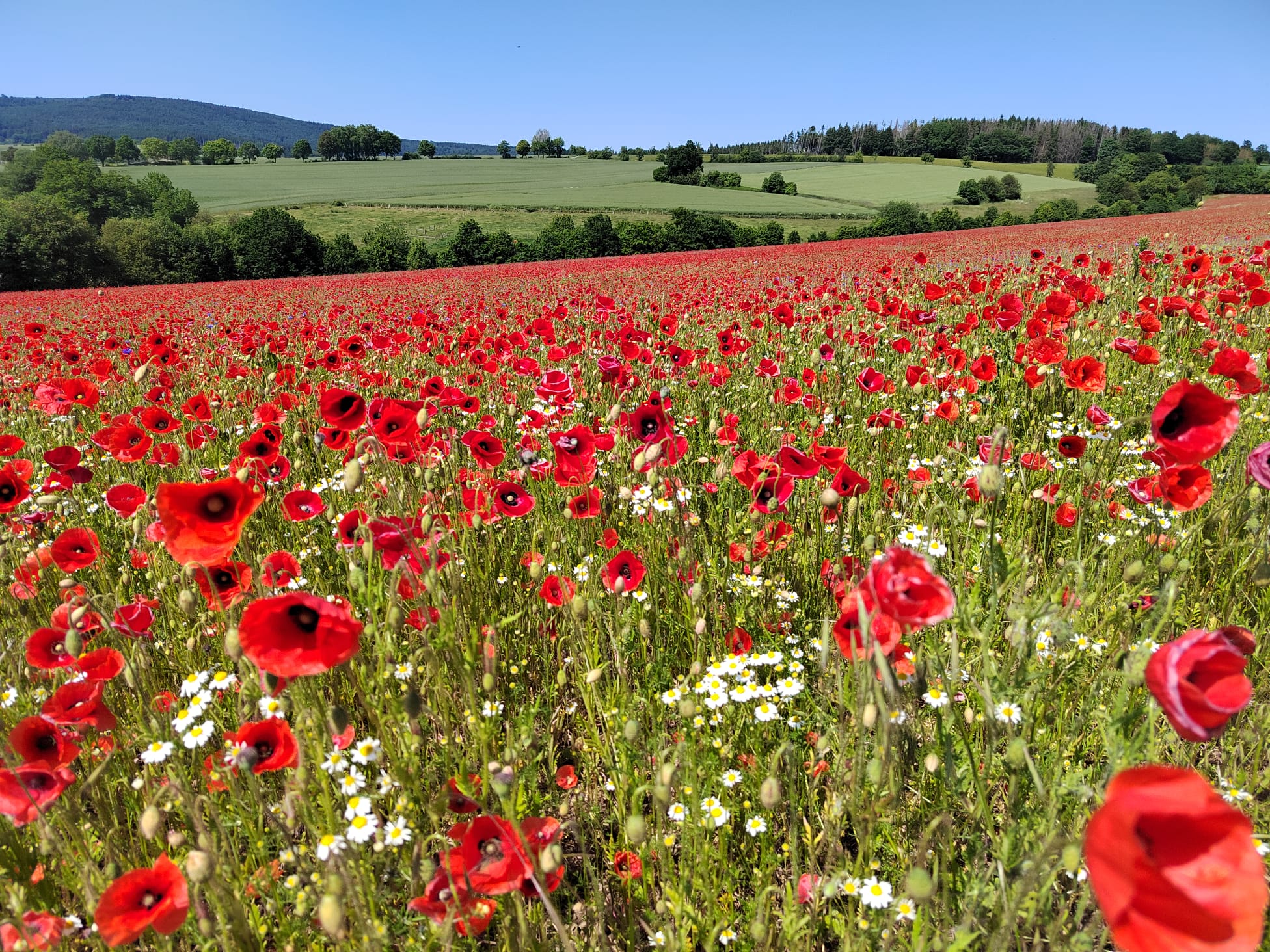 Stefan Schüler_KOOPERATIV