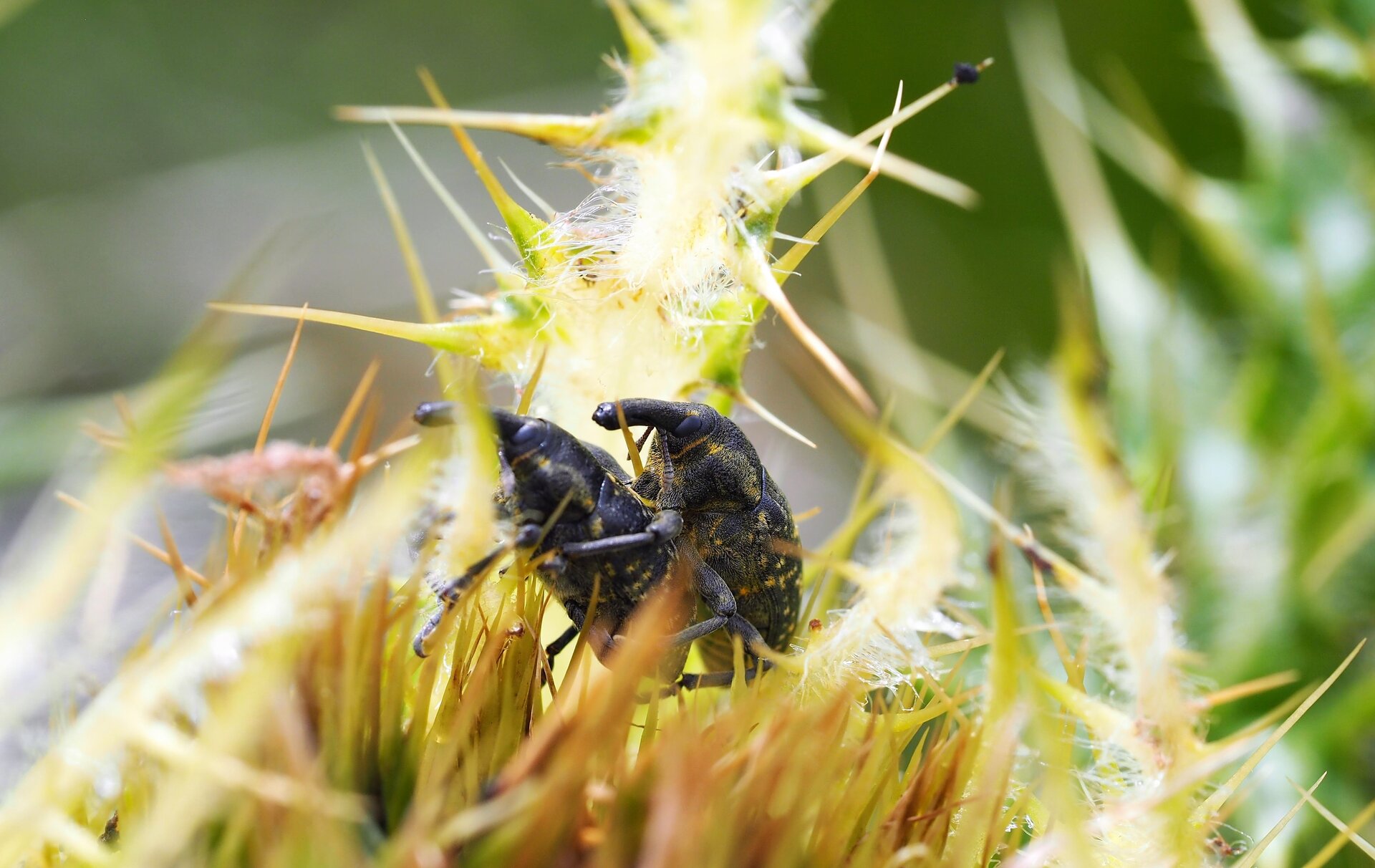 Dagmar-Spannbauer_Fotowettbewerb2023_Kategorie_3_Foto5