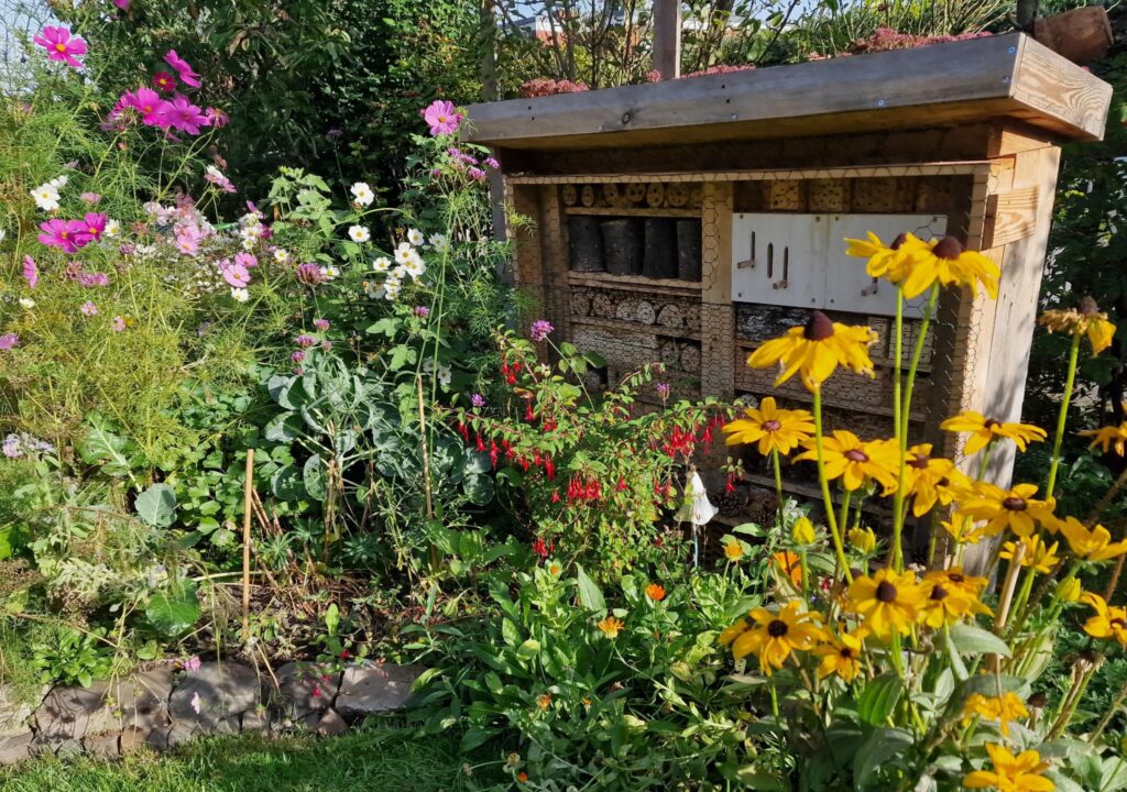 391759106_105022146037433_1966637573651890022_n