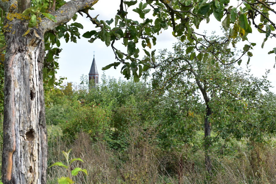 Torsten_Jaeger_Fotowettbewerb2023_Streuobst_13