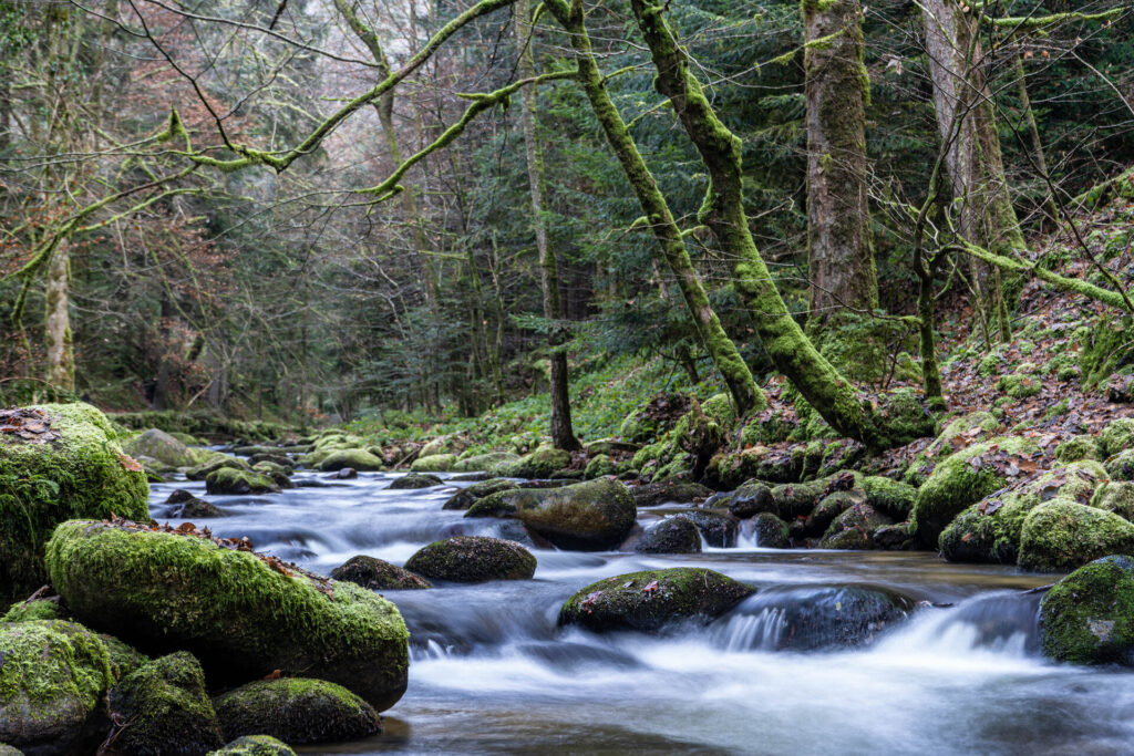 Wasser in all seinen Formen: Andreas Huck
