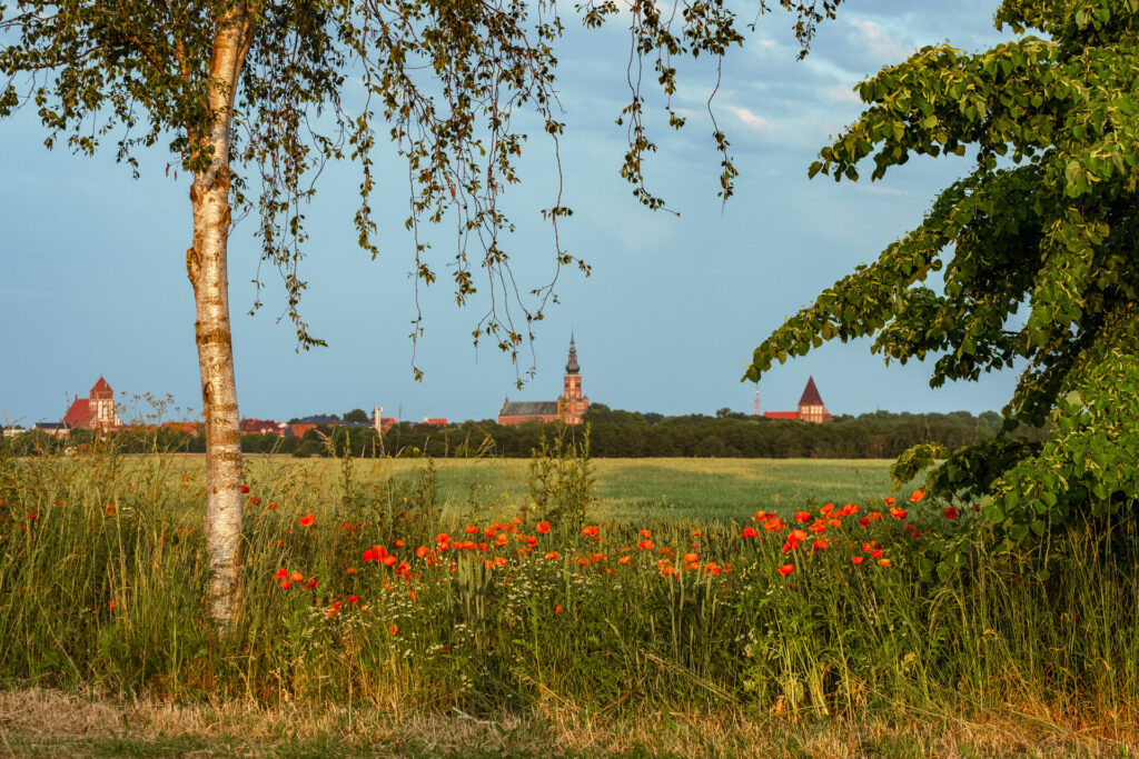 Wilde Äcker: Bernd Kupper