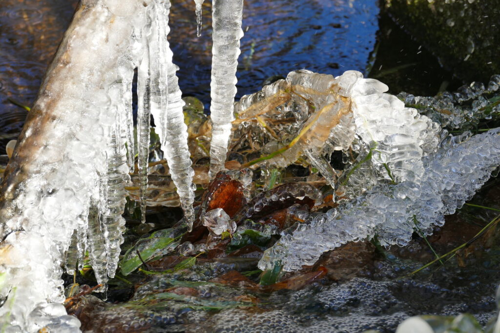 Wasser in all seinen Formen: Christiane Braunwarth