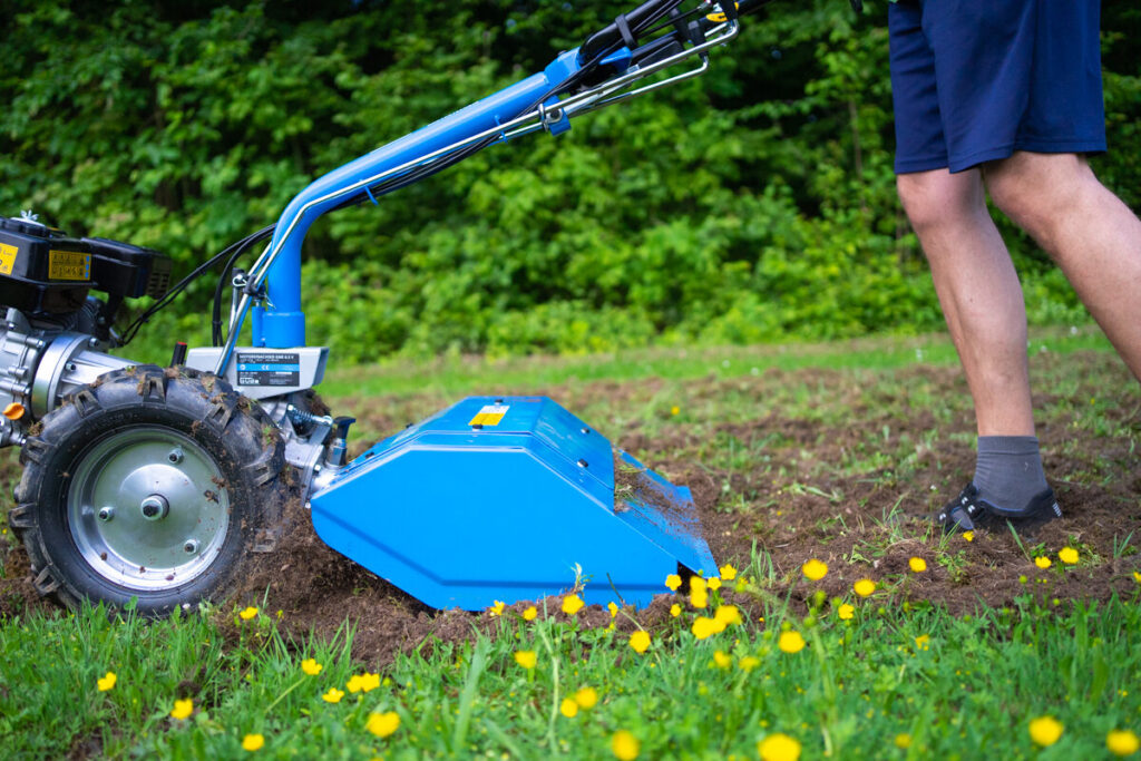 Aktiv für Insekten: Corinna Gratzl