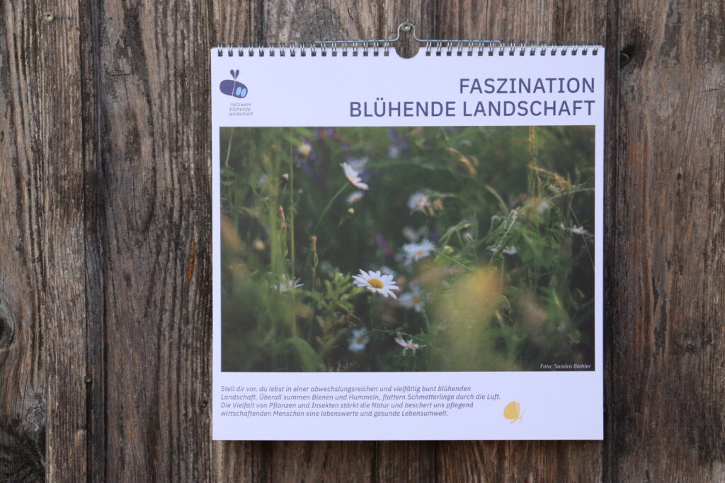 Kalender NBL Fotowettbewerb. Foto: Nick Leukhardt