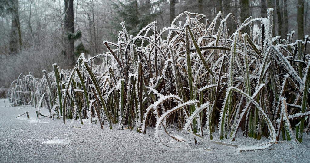 Wasser in all seinen Formen: Jörg Konrad