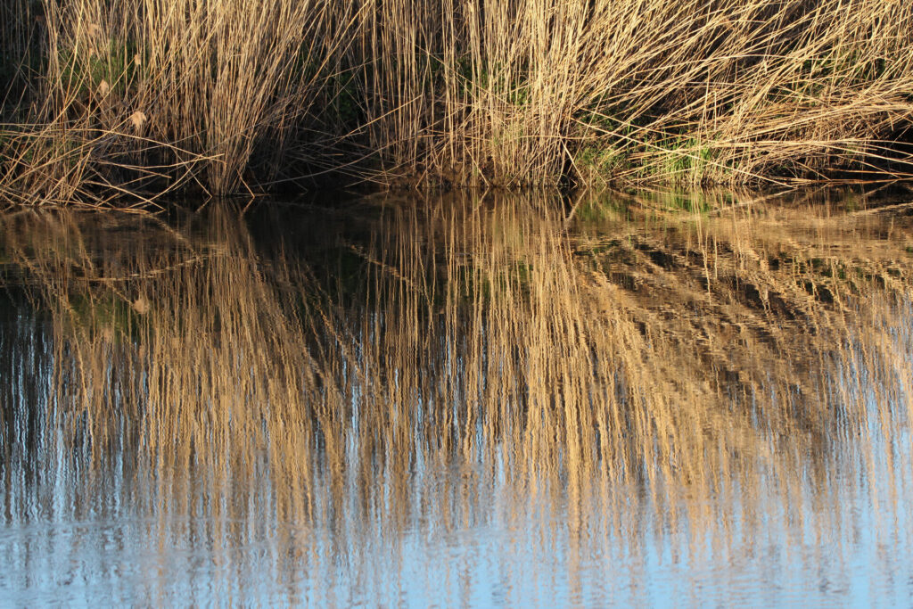 Wasser in all seinen Formen: Jörg Konrad