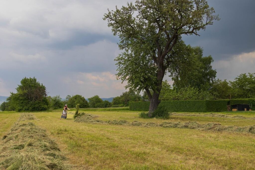 Aktiv für Insekten: Maria Belicevska-Stein