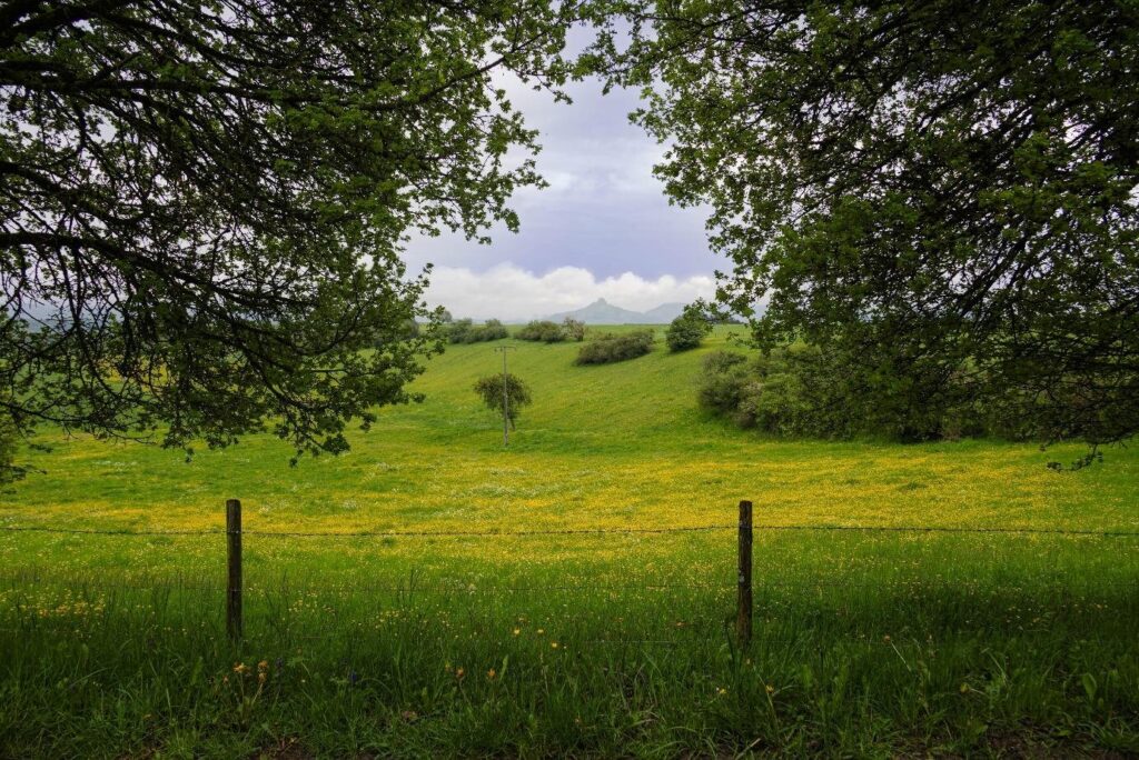 Artenreiche Wiesen: Maria Belicevska-Stein