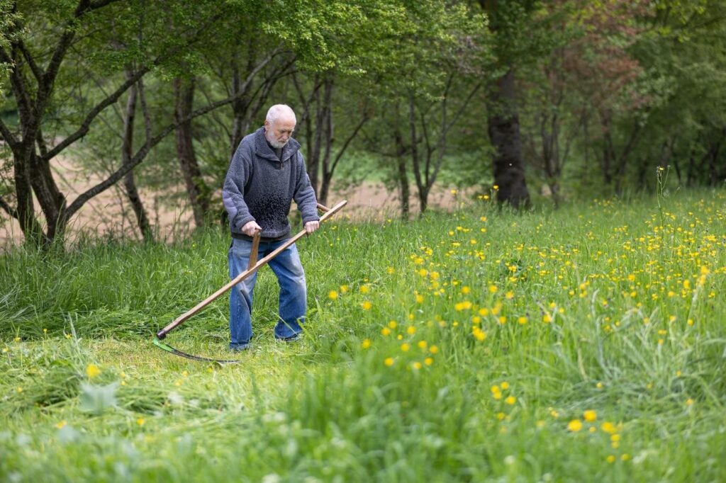 Aktiv für Insekten: Maria Belicevska-Stein