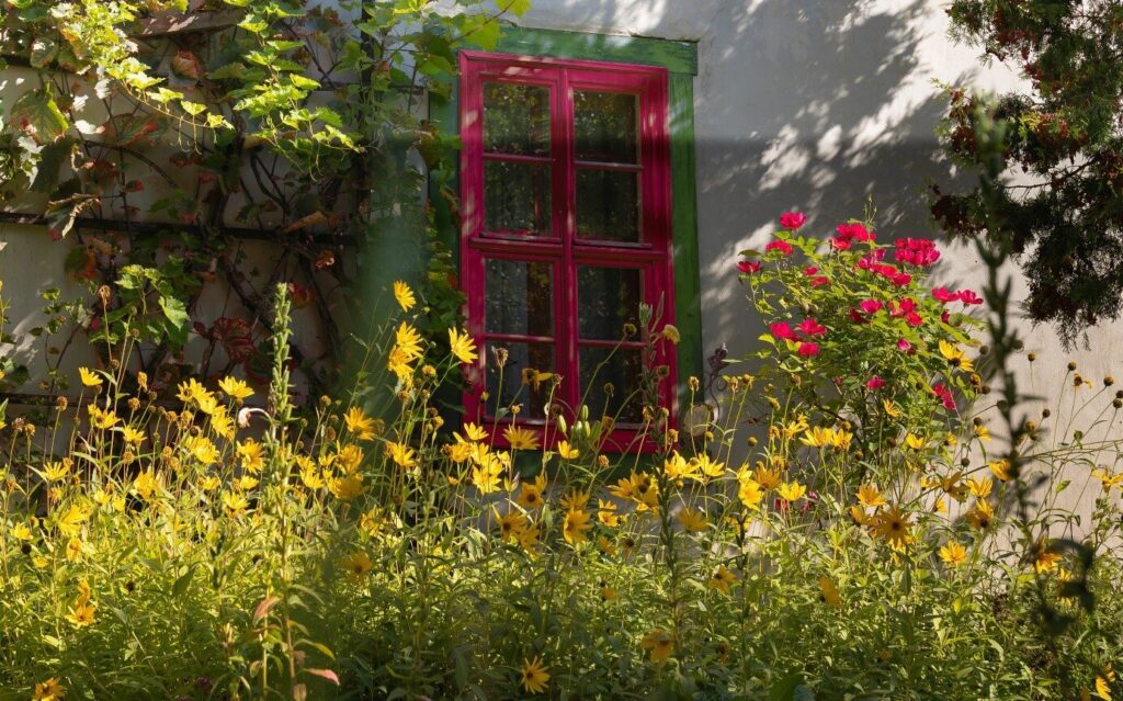 Heimische Blüten im Garten: Maria Belicevska-Stein