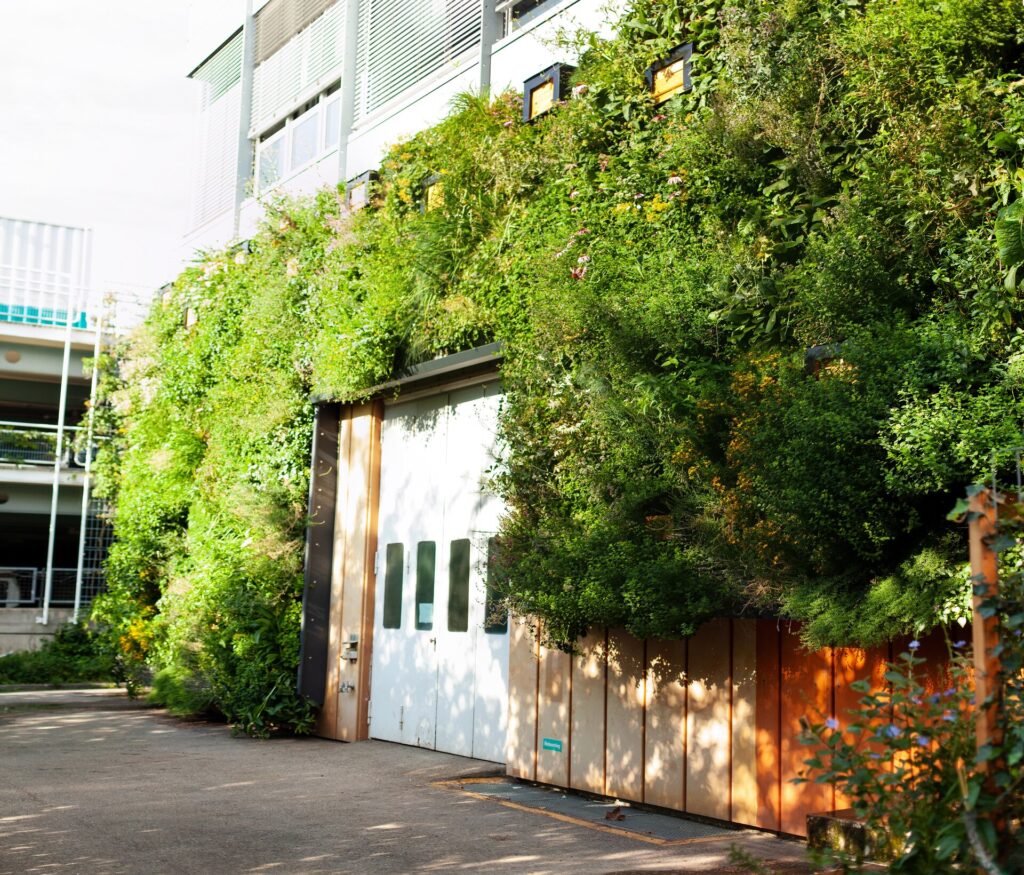 Öffentliches Bunt: Max Kroll