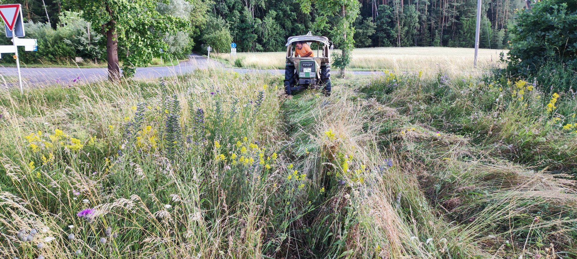 Mager- und Sandrasen bei Creußen. Foto: Paul Schwind