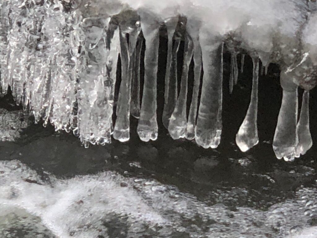 Wasser in all seinen Formen: Tamara Wolf