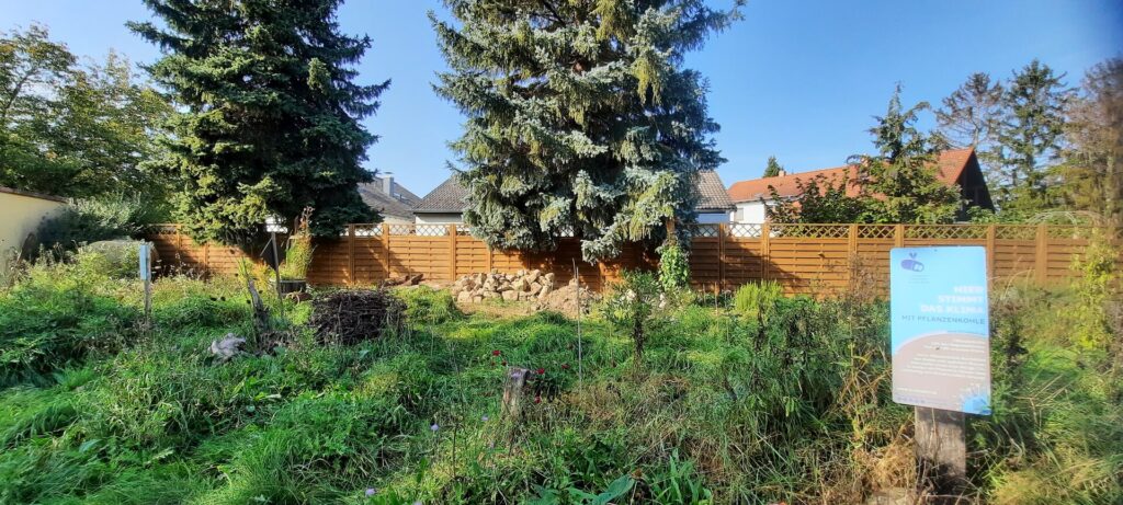 Heimische Blüten im Garten: Torsten Jäger