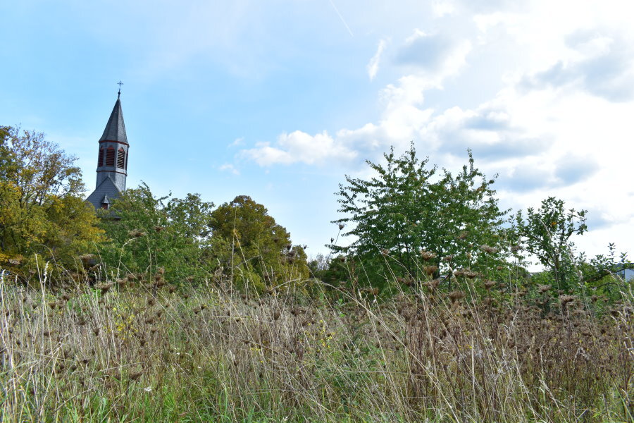 Wilde Streifen und Bunte Säume: Torsten Jäger