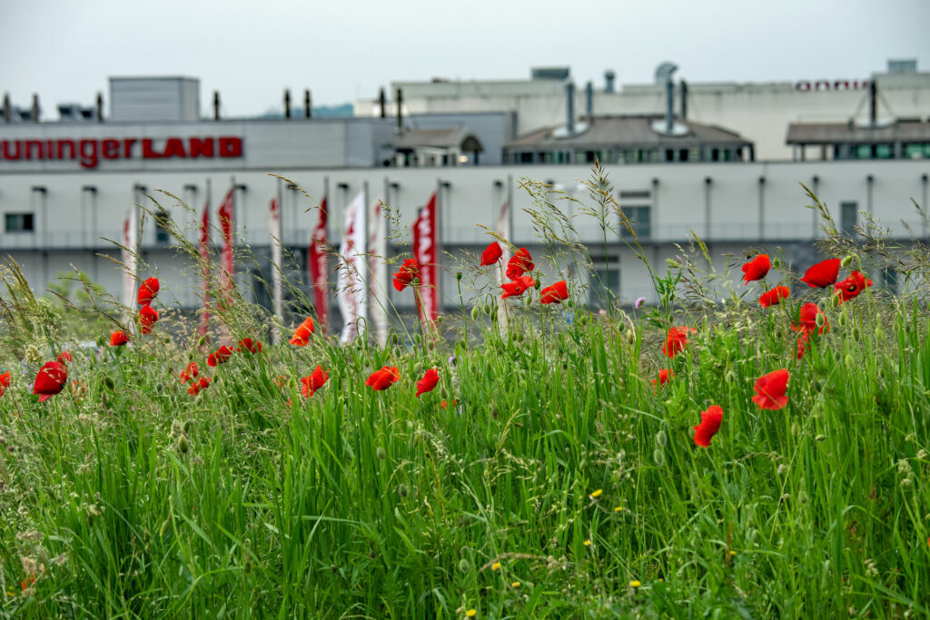 Öffentliches Bunt: Waldemar Drexler